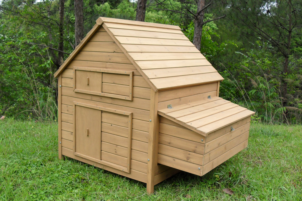 Details about COCOON CHICKEN HEN HOUSE COOP POULTRY ARK RUN BRAND NEW
